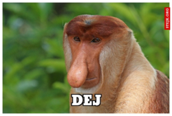 450a8772-4abd-43d6-be0e-5402c2467b0d