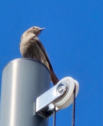 b5d0cf41-4b14-4a78-a6b4-97b54b6f3774