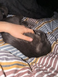 7d54d4ad-9d9b-4925-b5af-c5a3f28c9a92