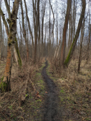 06de133d-c490-4f51-9907-9190a20e8bf4