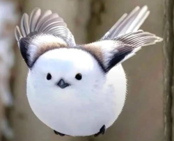 ea6ae50e-df7f-40c0-9fe7-6756f5fd59d2