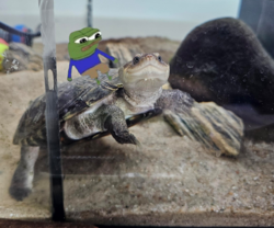 0ef045ea-8608-4486-9dc1-2363d305dc6a