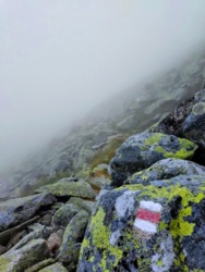 c6f8579d-cabb-4db8-b77f-369170d26c5d