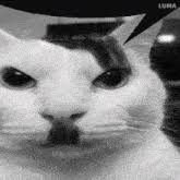 cb97fb75-a0a4-45ea-a12e-673d8da7c686