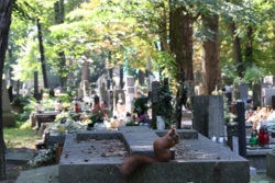 45534786-7e05-4248-88b7-66cb574f8ea4