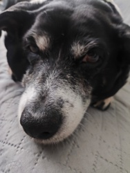 a62f531a-5a43-43ae-9b3f-628ec7eec6e6