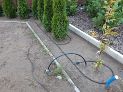 1941d7b9-988b-4315-9d6a-cdbcbace57b3