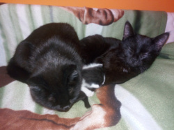 671e8ff3-243c-4ea1-a64c-69677da3a529