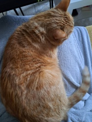 534769bc-421d-4157-a833-3a1253a09db6