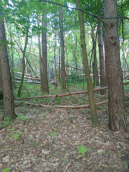 a346bfc1-a0f3-4eb0-b784-5569cb7ee527