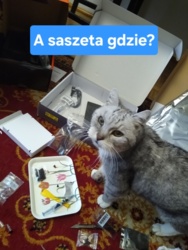 26220dea-acbe-4bf9-bf4a-0f5a1a50a1fa