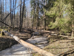 9f87da68-39d1-4504-a0ab-f48d04c1424b