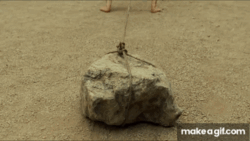 1d394186-2430-4f43-9268-44c6c225fc17