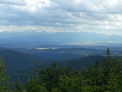 5946e5e1-b77e-4f86-80c0-3184c30a0d3f