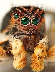 68061183-9728-4efe-a8ab-5d6396a40d49