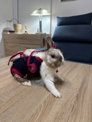 b8a706a0-0368-42bd-8bdc-a34475c32049