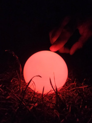 27104d73-48e7-4d66-9c7e-415a0c29473d