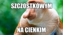 730f05be-8cce-4f78-aa65-e704de6c9d53