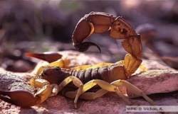 9f3516ee-43ae-4195-9a1f-2824e8b66e7a