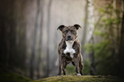 9f52a14f-97ec-4db9-ae89-1509a2254efe