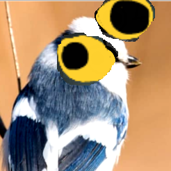 98198af2-4f3a-4ee6-9a08-1f9917626c41