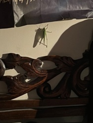 a1fd07ef-3e73-4398-890e-fb35f148f4b5