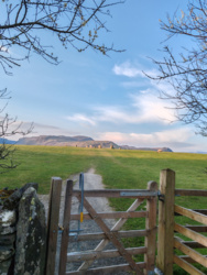 cad04532-a2ec-4496-8900-be10cbdfdd4f