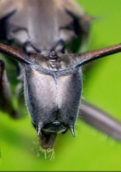 fc45f5a8-91d6-4a11-9149-efcabde4f96d