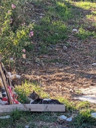 2b9d2b23-b71a-4581-94d5-f11c16ed6e92