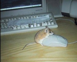 b1feec7f-8744-40cd-907a-0d337f61ff59