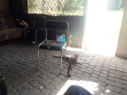 291300a1-b6e4-4d37-ac64-e9415d707081