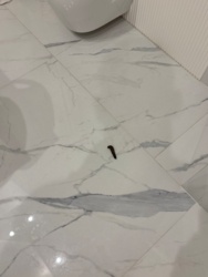 5873632f-d866-405b-a7eb-f8606b25d757