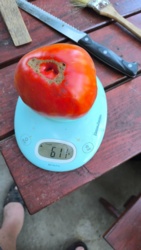 94f3f9a9-43ae-4dfa-ab2f-2bd1e49ca725