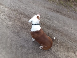 60419c70-3686-48aa-88ff-17aead0016f8