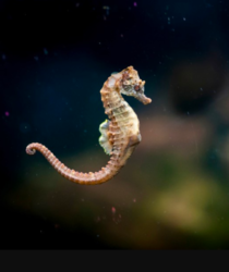 27f210ed-0441-4f4c-934d-c82f73e39cf8