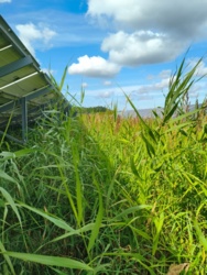 e8091306-5253-40f8-9bb9-7134ed58283e