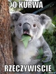 231161b9-6470-4bfe-afc7-f42c3f798425