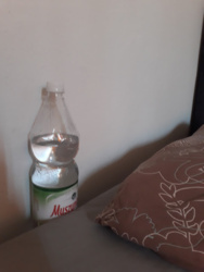 f8f8e356-3fd3-4609-96c3-03d872be8b8b