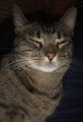 e001656c-a15f-4b18-99ed-413e9cdf3f80