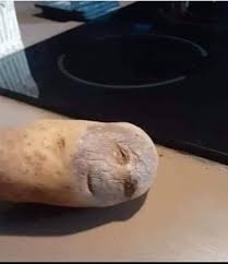 d3992b2d-a7b9-4559-ac48-80bb614455c7