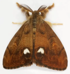 4a372ded-5e24-4c18-b271-af658f0b9c5c