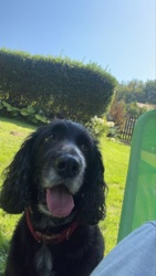 a6ad2840-9d17-4c74-80dd-73a8618aa540