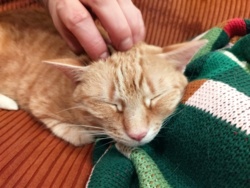 d68e5b72-c121-4b99-a7f4-a65353b49846