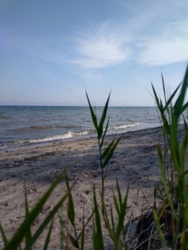 8fe487f0-9a8e-4896-8d79-939275babed3