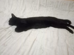 4bb622e3-07a4-42ac-a0a3-a1ff9641a247