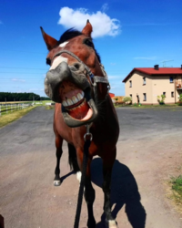 b668ddab-8ab7-41f8-98d8-f83b9452e6a7