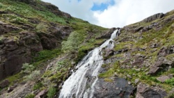 d0f36cee-ad8e-4a59-b5aa-9c306f215084