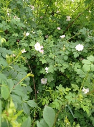 835d2166-c47c-42cc-a5c9-62fa86138193