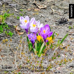 8588664b-a866-4db8-9282-bbfa540a5cf0