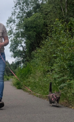 3634b80a-000b-4d1b-ac0e-d0e0553d3ffe